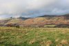 View of Ochils_600x400